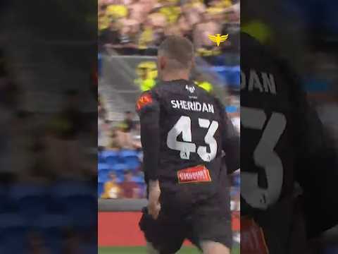 Congrats to Academy player Matt Sheridan on making his A-League debut on Saturday #PhoenixAcademy