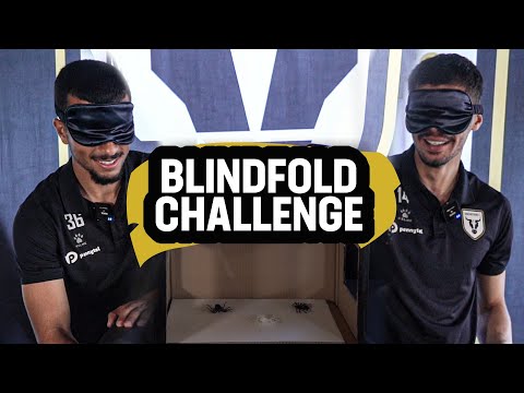 Bulls Blindfold Challenge (feat. Auglah, Nicolaou)